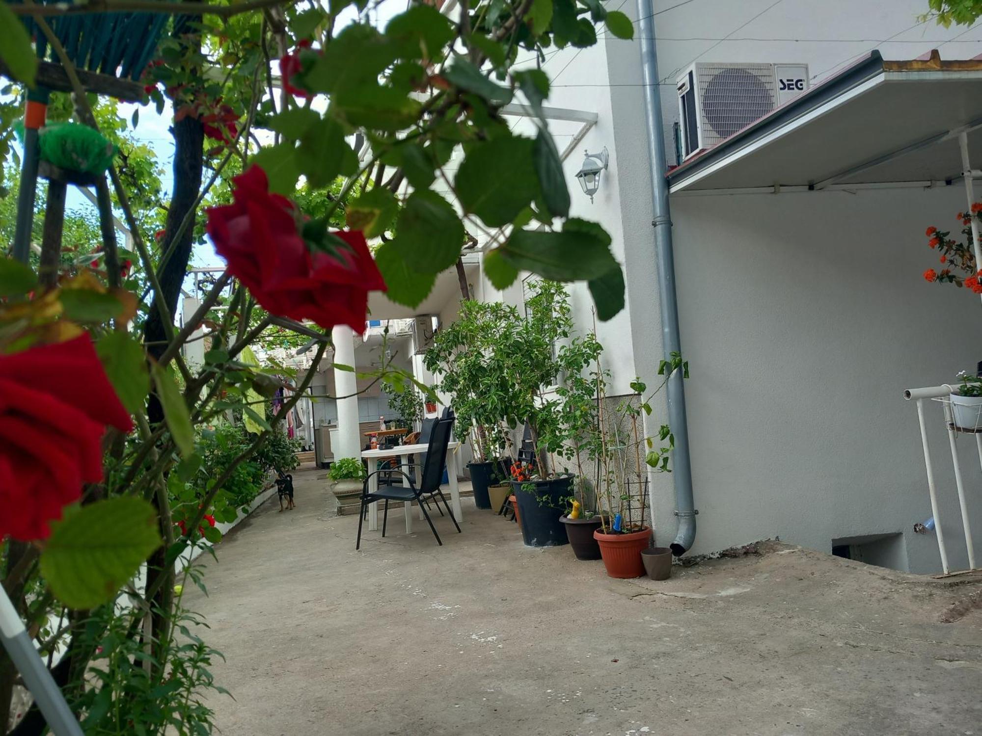 Guest House Dada โมสตาร์ ภายนอก รูปภาพ